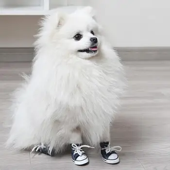 Moda Su Geçirmez Rahat Tarzı kaymaz Açık Nefes Pet Patik Köpek Sneaker Köpek Ayakkabı Pet Denim Ayakkabı
